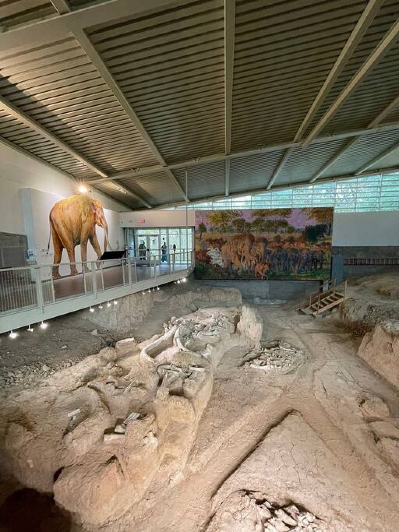 3 mins from Magnolia, Baylor, and Downtown Waco gallery image 9