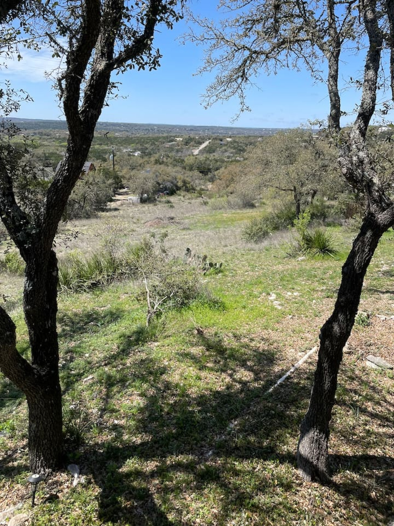 The Yellow Puerta 294 in Wimberley gallery image 5