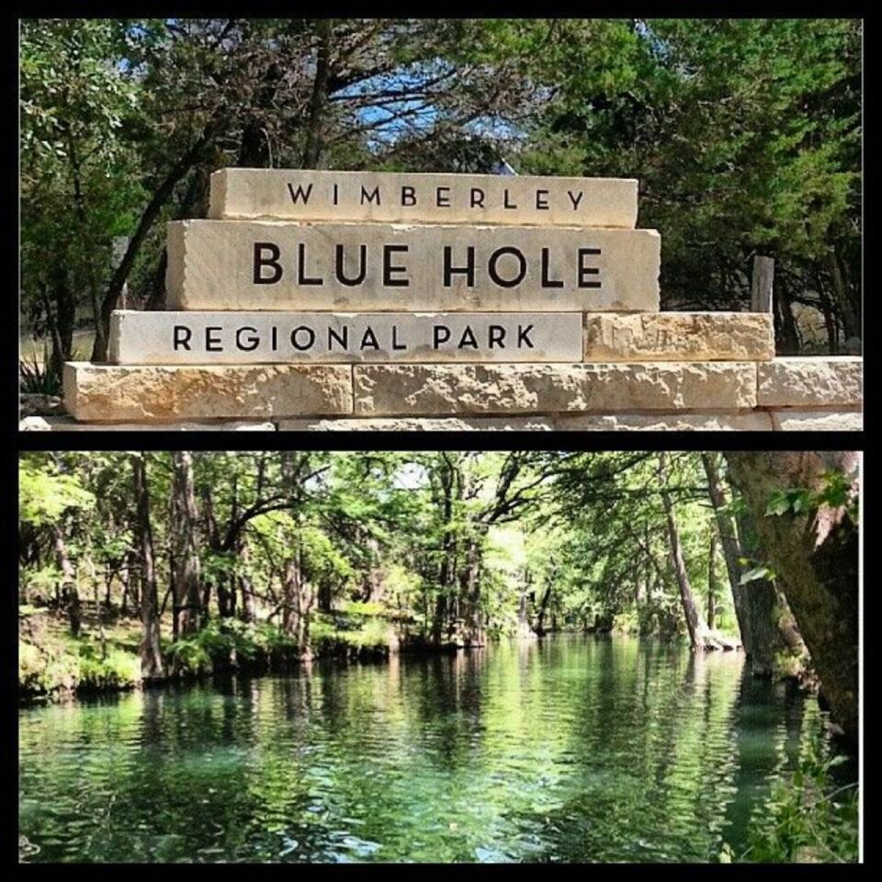 The Yellow Puerta 294 in Wimberley gallery image 10